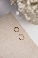 Ohrringe Basic Hoops Gold aus Edelstahl
