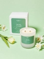 Tulip Garden – Sojakerze Luméa Candle mit dem Duft von Tulpen und Jasmin